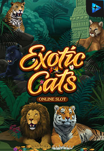 Bocoran RTP exoticcats di ZOOM555 | GENERATOR RTP SLOT